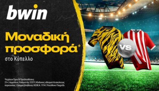 bwin 090223