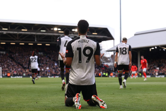 wolves-fulham