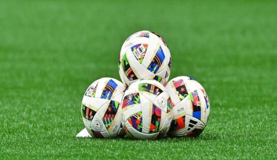 αντυπας προγνωστικα 1504