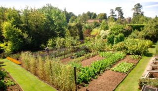 ραγκατσης προγνωστικα στοιχηματος 02-04-2026